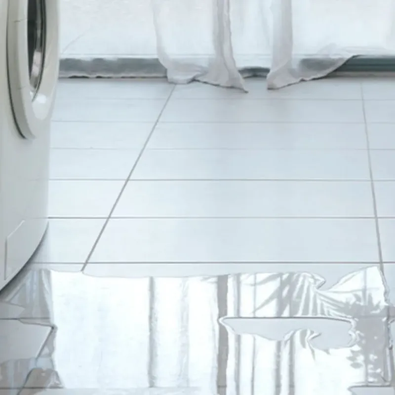 Appliance Leak Cleanup in Colfax, IL