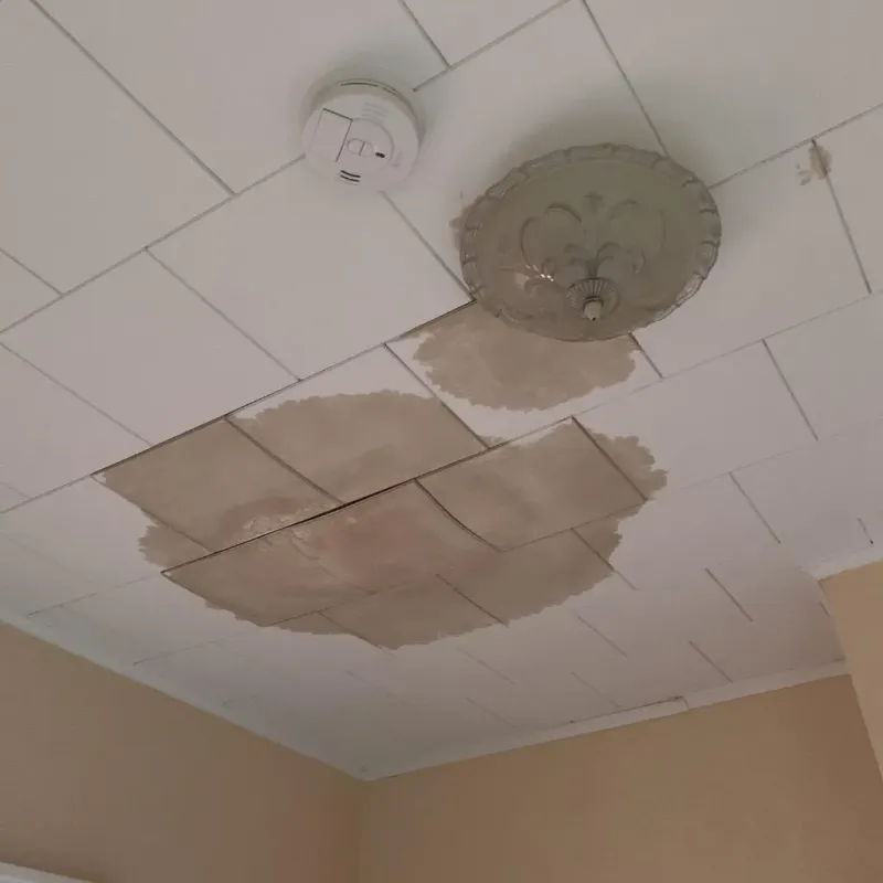 Ceiling Water Damage Repair in Colfax, IL