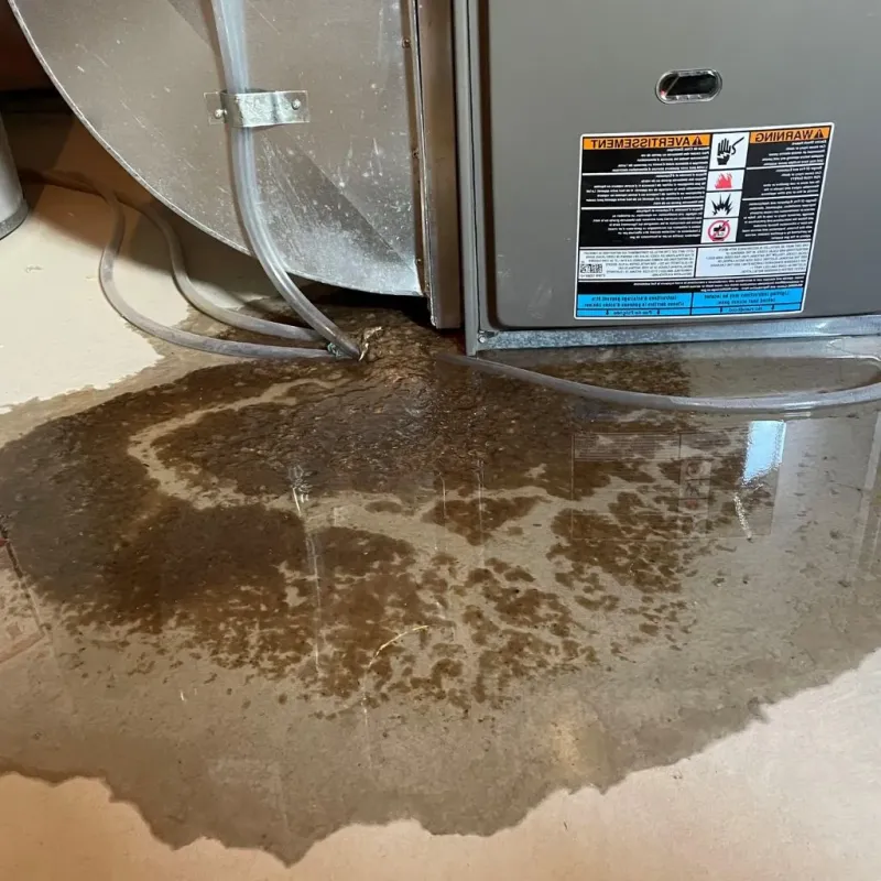 Pipe Burst and Leak Restoration in Colfax, IL