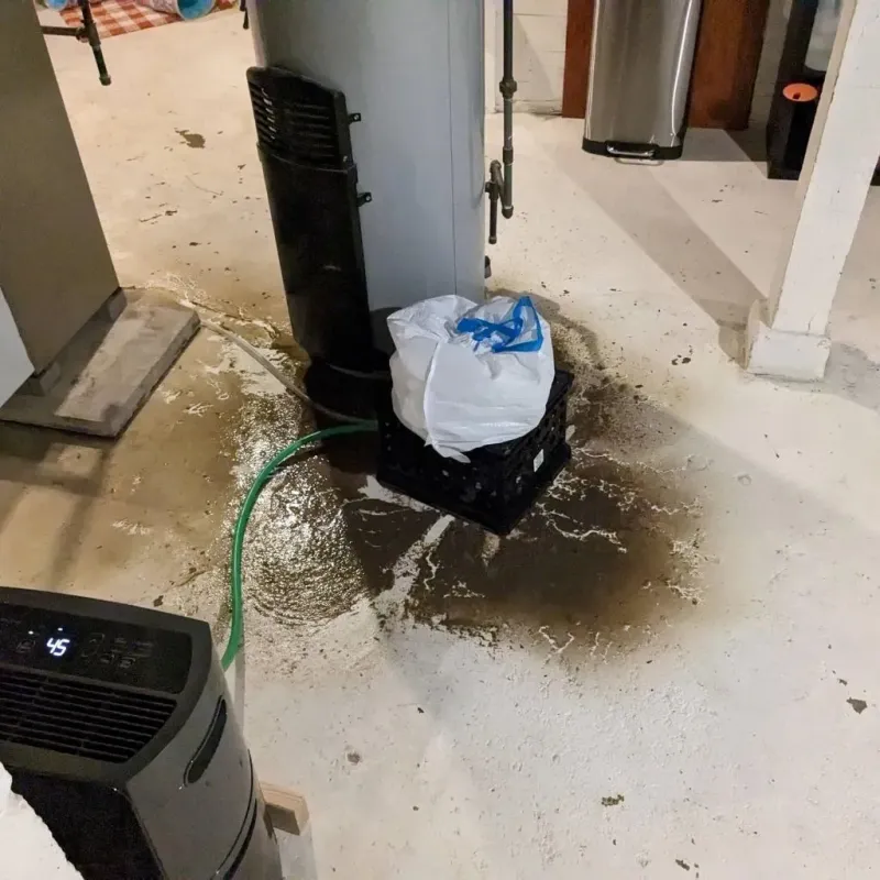 Sewage Backup Cleanup Service in Colfax, IL